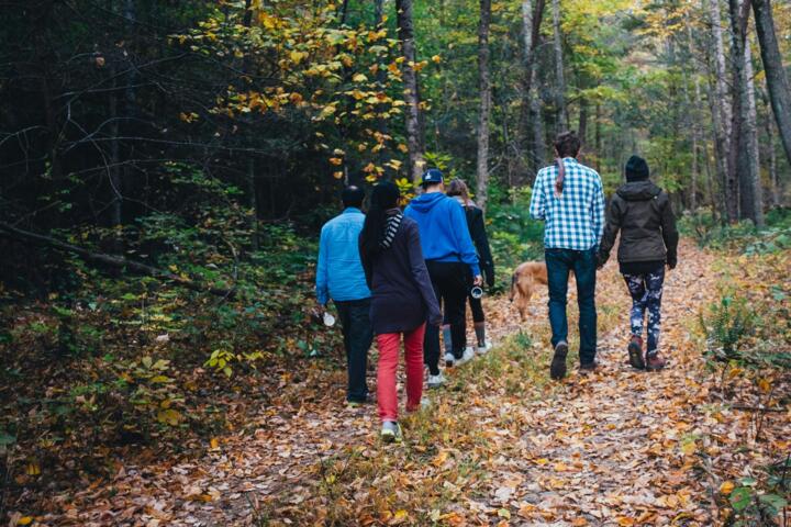 What Free Walking Tours Actually Offer