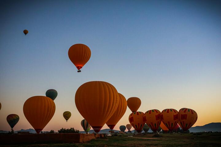 Why Booking Activities Ahead Saves Time and Money